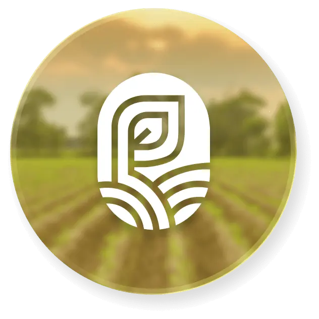 Logo-Icon